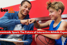 Harmonicode Sport: The Future of Interactive Athletic Experiences Harmonicode Sport