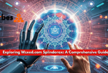 Exploring Wsxed.com Splindorax: A Comprehensive Guide wsxed.com splindorax